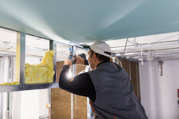 Types of Insulation We Offer in Bushland, TX