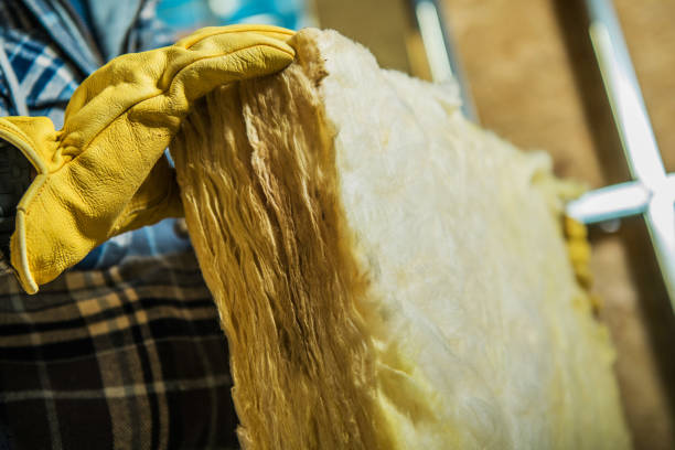 Best DIY Insulation Kits and Guidance in Bushland, TX